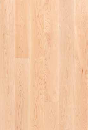 Sàn gỗ kỹ thuật Maple